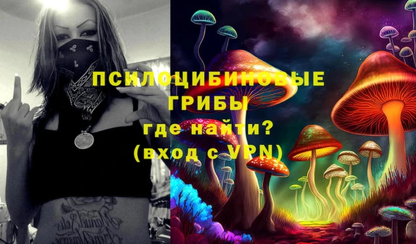 марки nbome Медвежьегорск